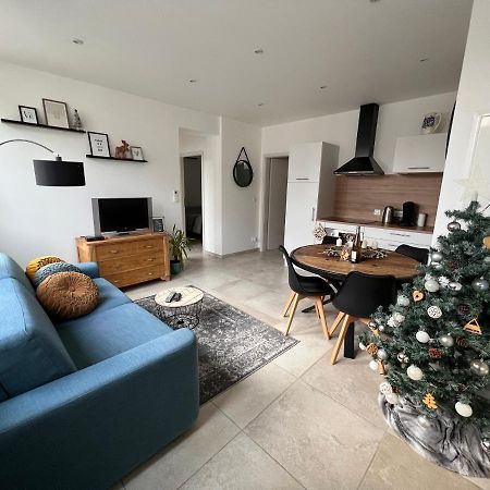 Appartement Plain-Pied Au Coeur De L'Alsace Muttersholtz エクステリア 写真